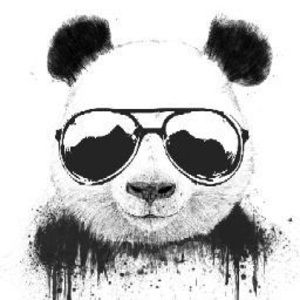 Meet your Posher, Jacky